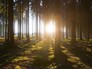 Casa per le vacanze Meschede Ambiente 26