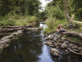Ferienhaus Meschede Umgebung 39