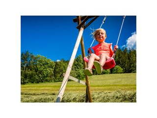 Fattoria Forstau Ambiente 30