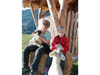 Fattoria Forstau Ambiente 37