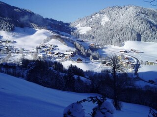 Fattoria Forstau Ambiente 24