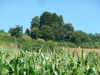 Apartment Eslohe Environment 25