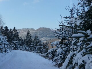 Appartement Eslohe Environnement 30