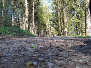 Appartamento Eslohe Ambiente 30