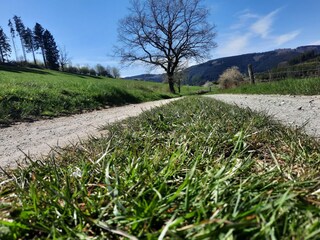 Appartamento Eslohe Ambiente 24