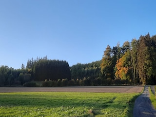 Apartment Eslohe Environment 34