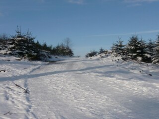 Apartment Eslohe Umgebung 29