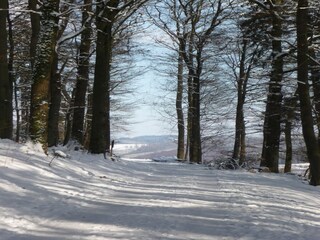 Appartamento Eslohe Ambiente 37