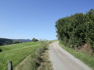 Ferienhaus Bestwig Umgebung 21