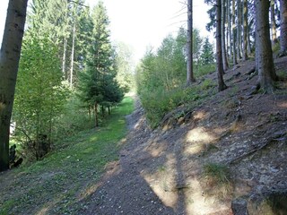 Vakantiehuis Bestwig Omgeving 19