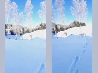 Vakantiehuis Bestwig Buitenaudio-opname 7