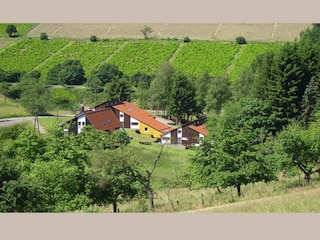 Vakantiehuis Bestwig Omgeving 32