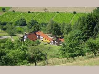 Vakantiehuis Bestwig Omgeving 33