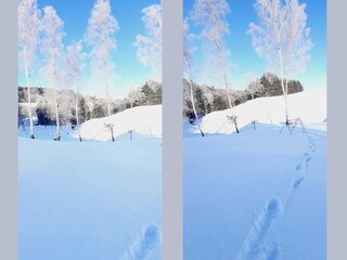 Casa de vacaciones Bestwig Grabación al aire libre 16