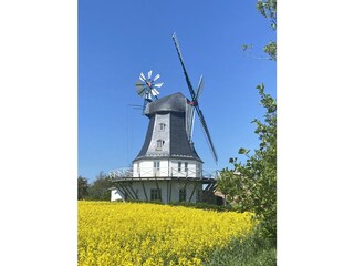 Die Mühle