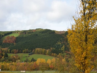 Apartment Bestwig Environment 28