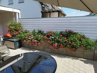 Appartamento Bestwig  38