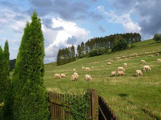 Appartement Bestwig Omgeving 27