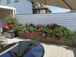 Appartement Bestwig  40