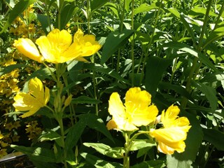 Apartamento Bestwig Grabación al aire libre 9