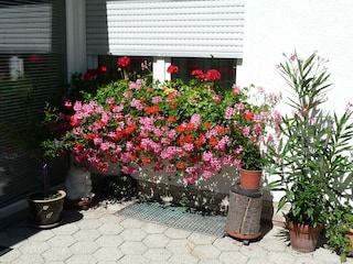 Appartement Bestwig Buitenaudio-opname 3