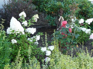 Appartamento Bestwig Registrazione all'aperto 5