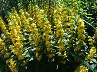 Apartamento Bestwig Entorno 28