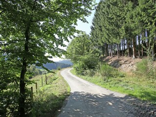 Maison de vacances Bestwig Environnement 27