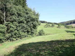 Holiday house Bestwig Outdoor Recording 11