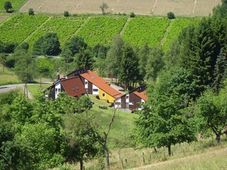 Ferienhaus Bestwig Außenaufnahme 2