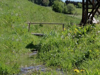 Vakantiehuis Bestwig Omgeving 34