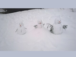 Ferienhaus Bestwig Außenaufnahme 11