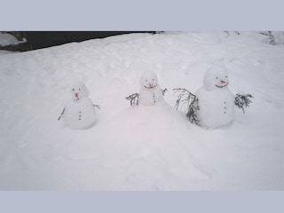 Holiday house Bestwig Outdoor Recording 13