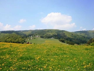 Apartment Marsberg Environment 15