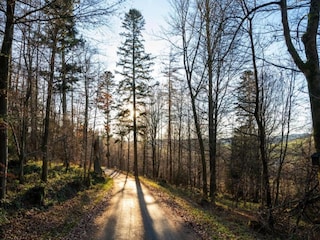 Appartamento Marsberg Ambiente 30