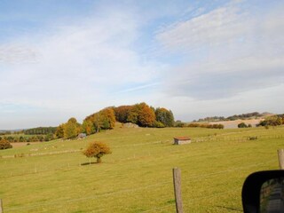 Vakantiehuis Brilon Omgeving 17