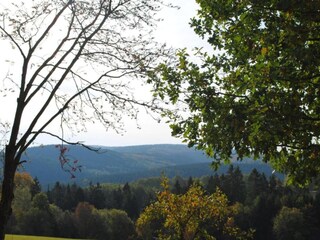 Maison de vacances Brilon Environnement 30