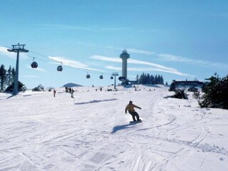 Casa per le vacanze Brilon Ambiente 58