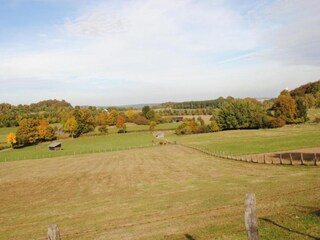 Vakantiehuis Brilon Omgeving 20