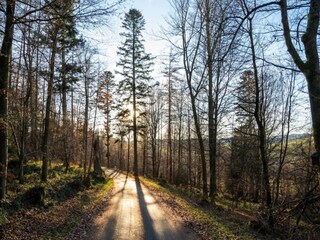 Casa per le vacanze Brilon Ambiente 38