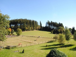 Holiday house Elleringhausen (Twistetal) Environment 35