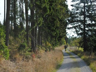 Apartment Marsberg Umgebung 35