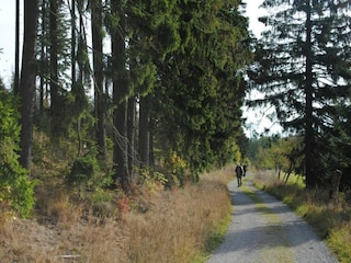 Apartment Marsberg Umgebung 36