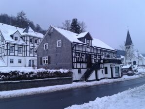 Gezellig vakantiehuis met WiFi in Hochsauerland - Beste pruik - image1