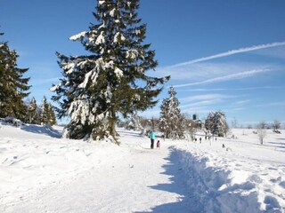 Holiday house Bestwig Environment 23