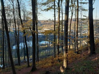 Casa per le vacanze Bestwig Ambiente 24