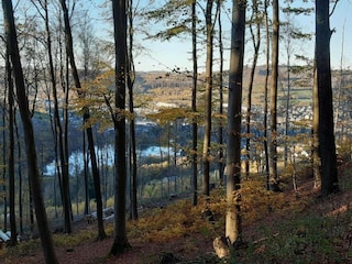 Vakantiehuis Bestwig Omgeving 24