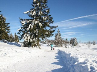 Ferienhaus Bestwig Umgebung 28