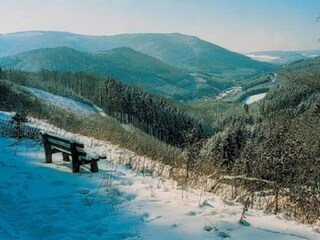 Apartment Bestwig Environment 28