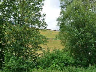 Appartement Bestwig Buitenaudio-opname 7